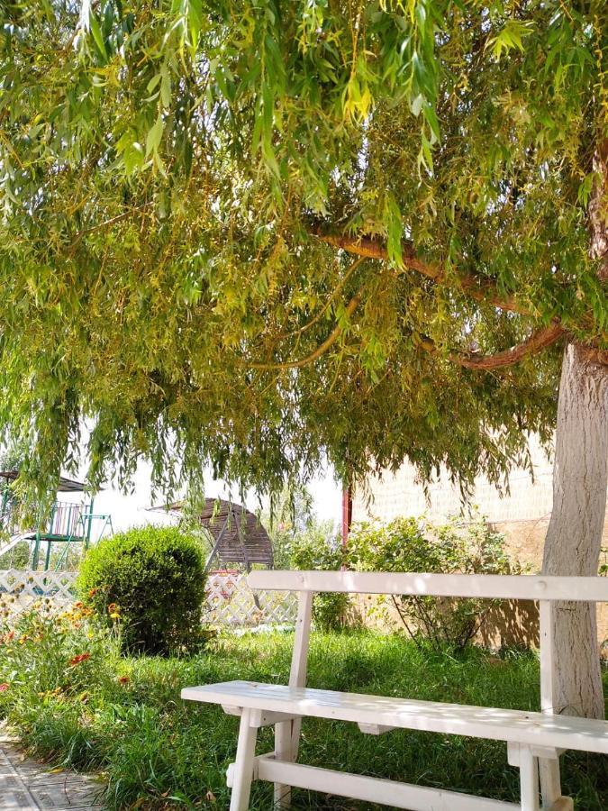 צ'ולפון-אטא Altynai Guest House מראה חיצוני תמונה